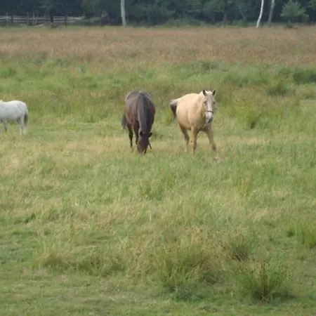 Tatil Evi Letniskowe W Swinoujsciu